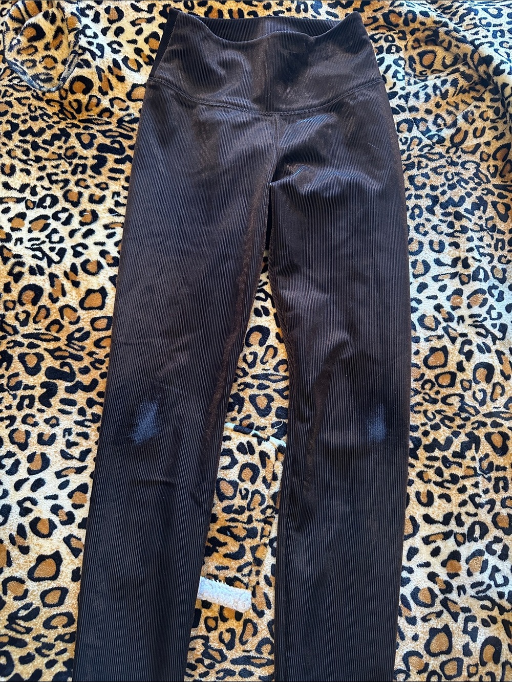 WHBM textured shiny velvet runway leggings size 2